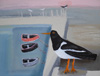 Norfolk Oystercatcher